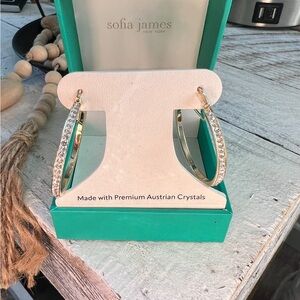 Gold Hoop Earrings with Austrian Crystals